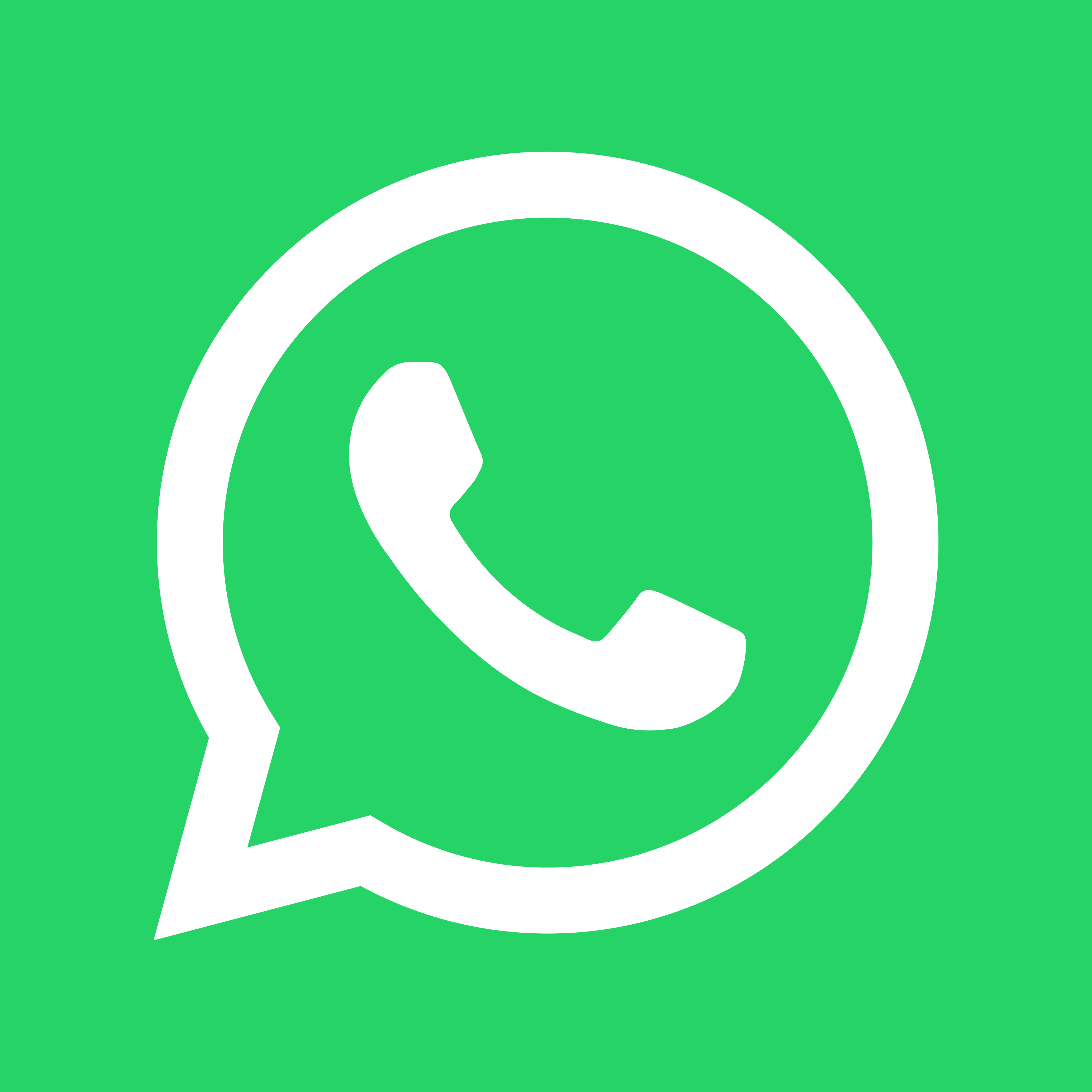 Avant-Garde Hair Whatsapp